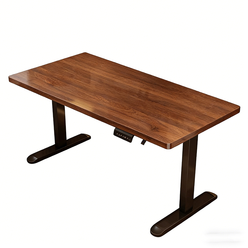 Modern Iron Dual Motor Electri - Desk Setup Office recension och pris