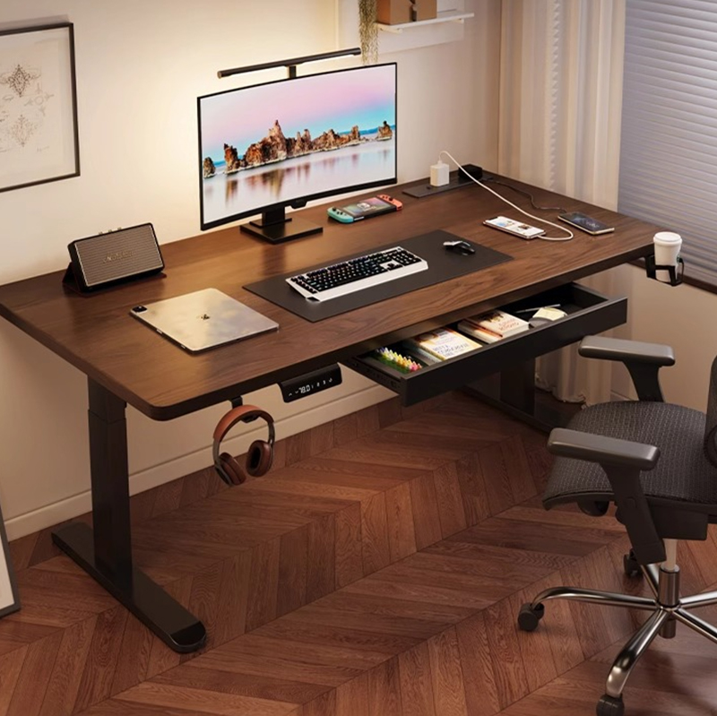 Modern Iron Dual Motor Electri - Desk Setup Office recension och pris